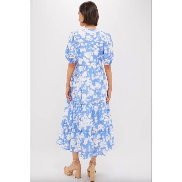 Tuckernuck Hyacinth House Blue and White Floral Cisco Maxi Dress Sz S - Picture 3 of 6